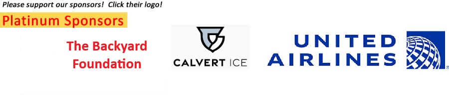 Platinum sponsor logos